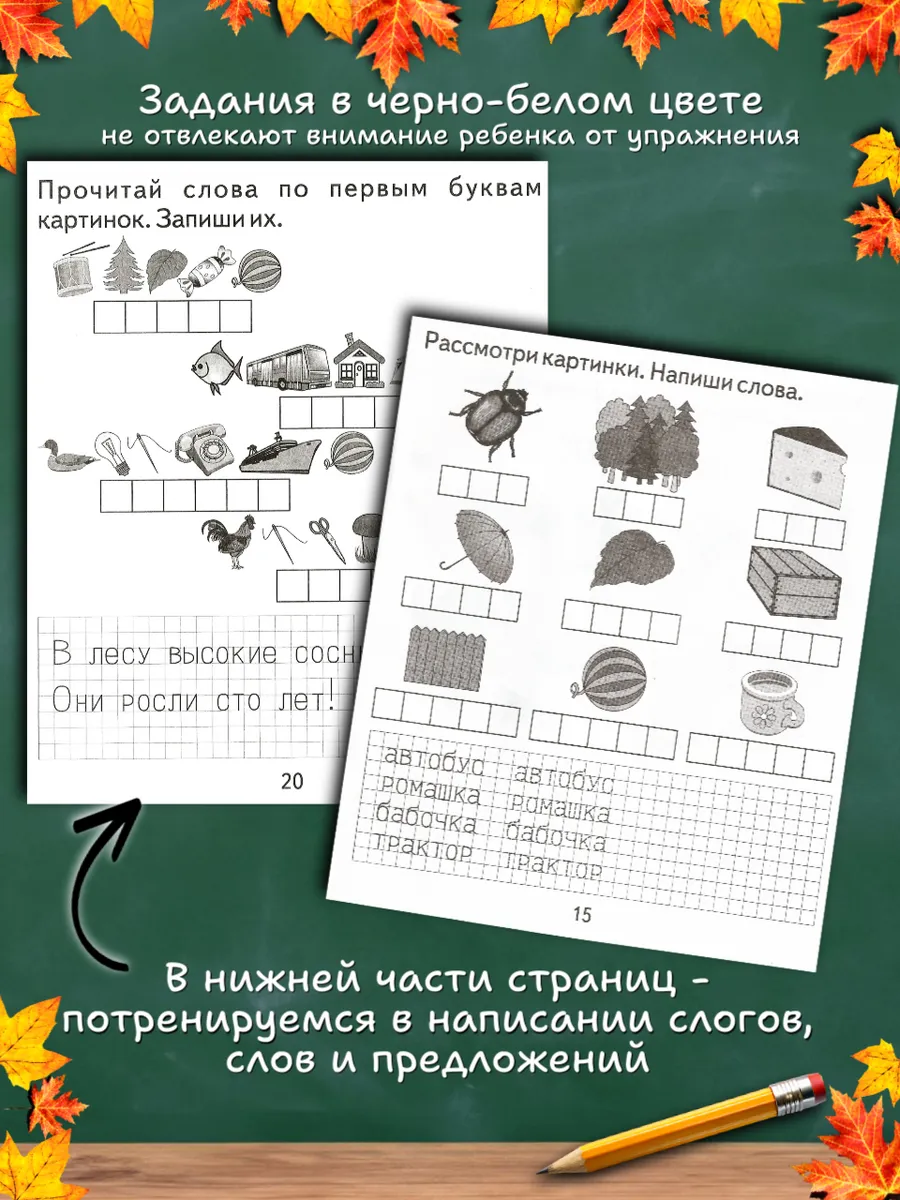 Набор изучаем математику и грамоту. Рабочие тетради