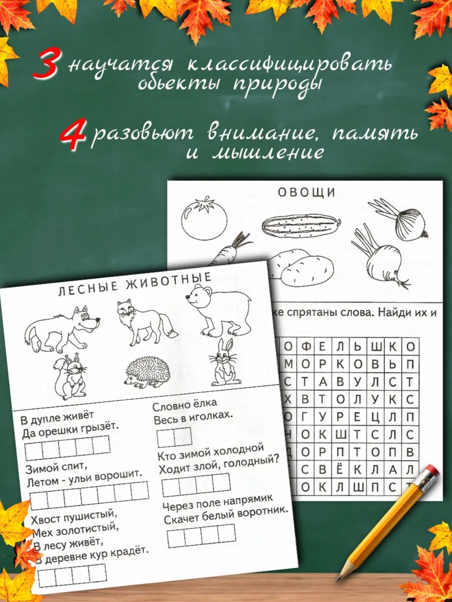 Окружающий мир. Рабочие тетради