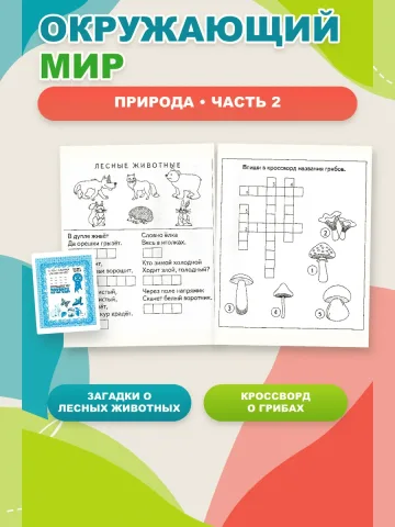 Окружающий мир. Рабочие тетради
