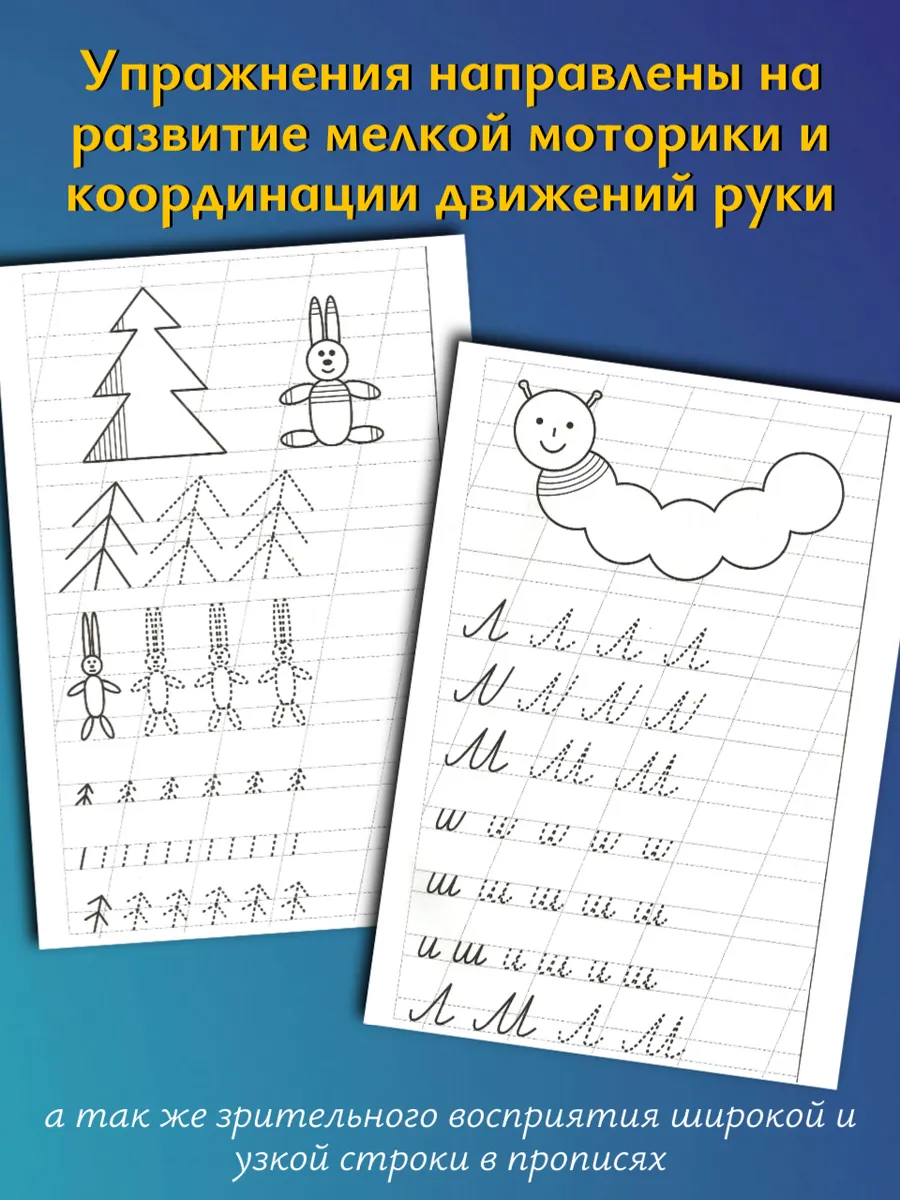 Мои первые прописи 5-6 лет. Рабочая тетрадь