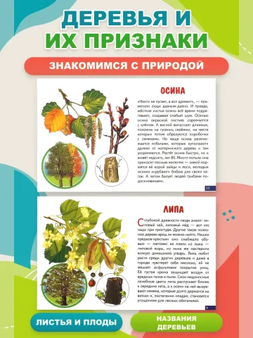 Деревья карточки для детей