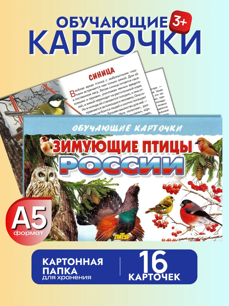 Зимующие птицы России карточки