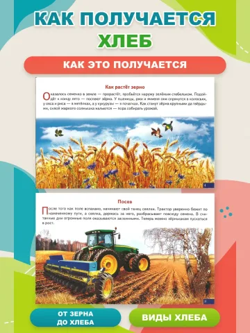 Карточки Хлеб