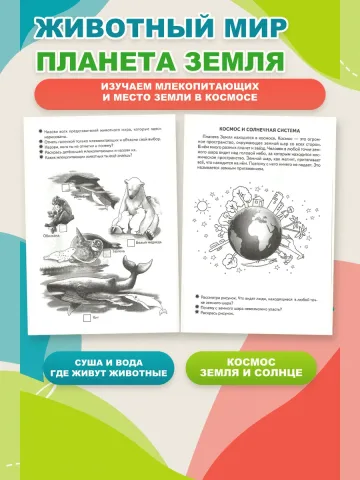 Окружающий мир 5-6 лет Рабочая тетрадь