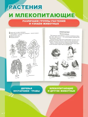Окружающий мир 5-6 лет Рабочая тетрадь