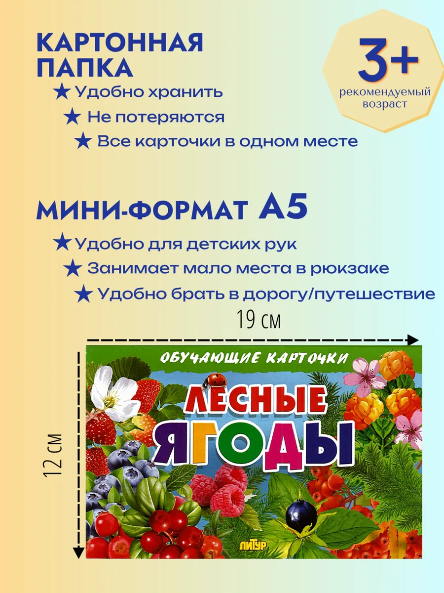 Карточки Лесные ягоды
