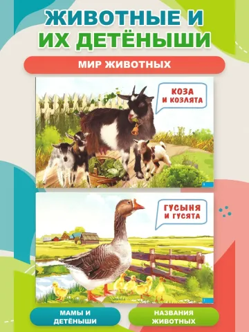 Карточки Мамы и детки