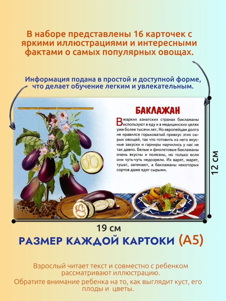 Обучающие карточки Овощи