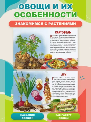 Обучающие карточки Овощи