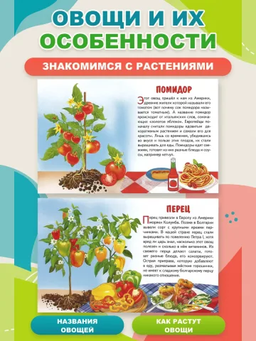 Обучающие карточки Овощи