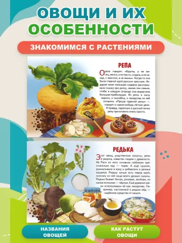 Обучающие карточки Овощи