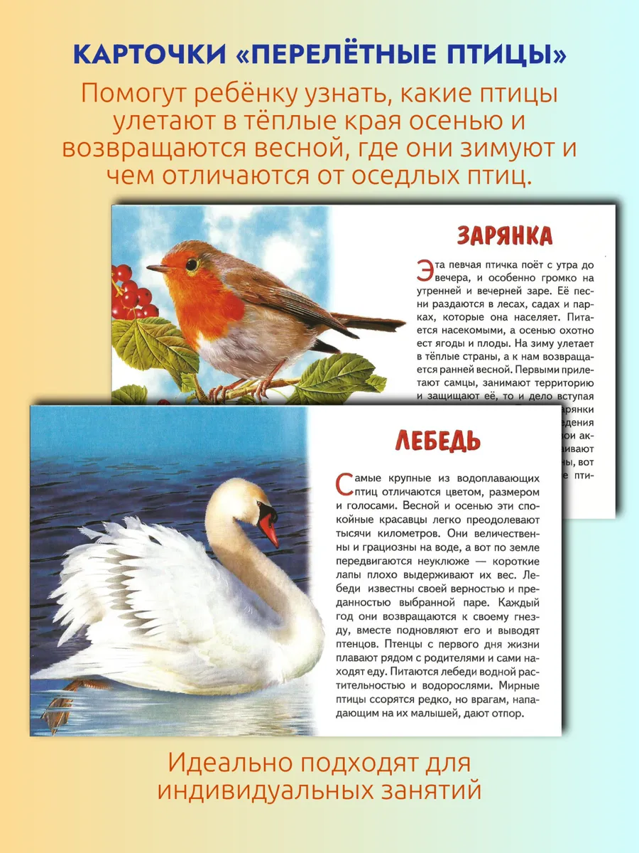 Перелетные птицы России. Наглядные карточки