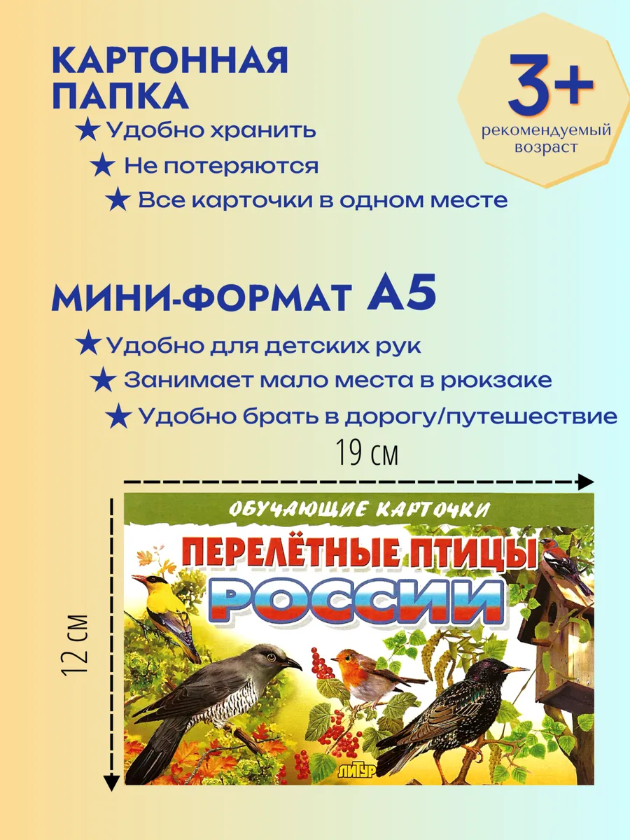 Перелетные птицы России. Наглядные карточки