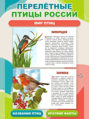 Перелетные птицы России. Наглядные карточки