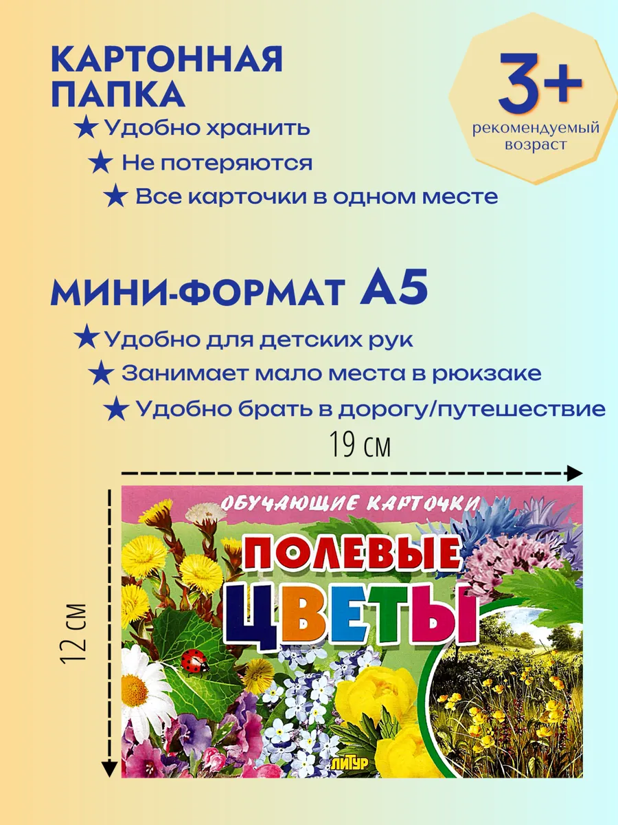 Полевые цветы Наглядные карточки