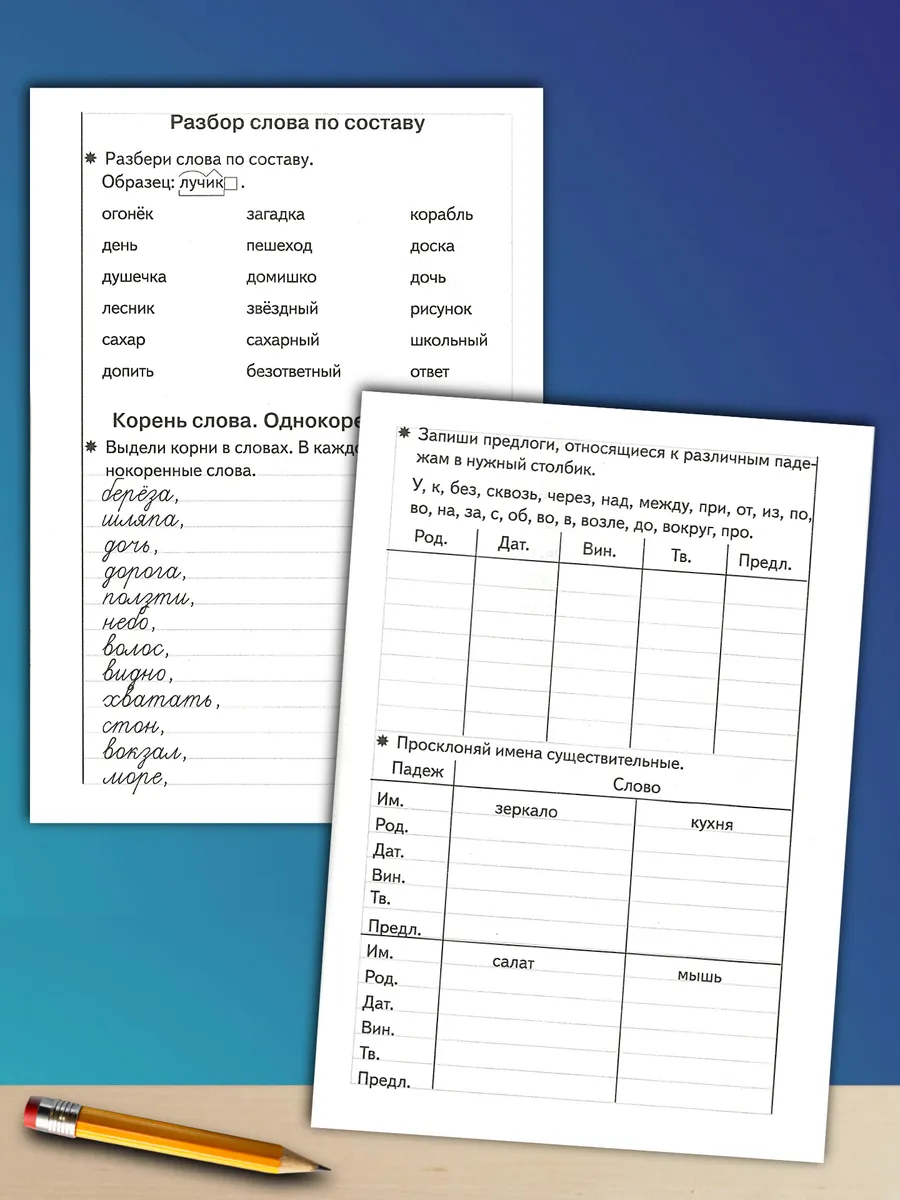 Тренажер по русскому: Грамотное письмо