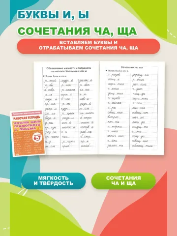 Тренажер по русскому: Грамотное письмо