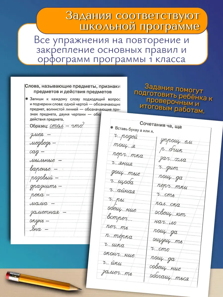 Тренажер по русскому языку: Грамотное письмо 1 класс